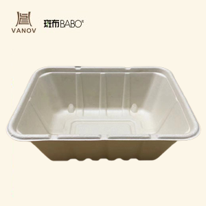 Bamboo Eco-friendly lunch box Featured Image
